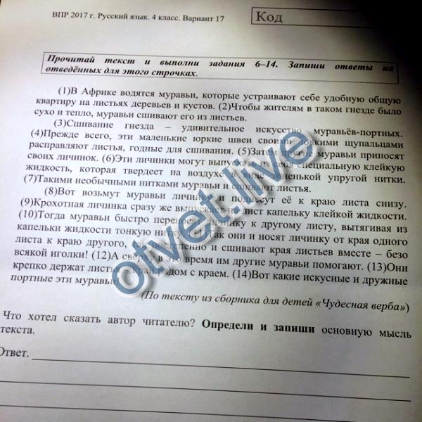 Чтобы привлечь внимание читателя авторы пишут что. Запиши основную мысль текста. Определи и запиши основную мысль текста. Основная мысль текста это что хотел сказать Автор. Что хотел сказать Автор читателю определи основную мысль текста.