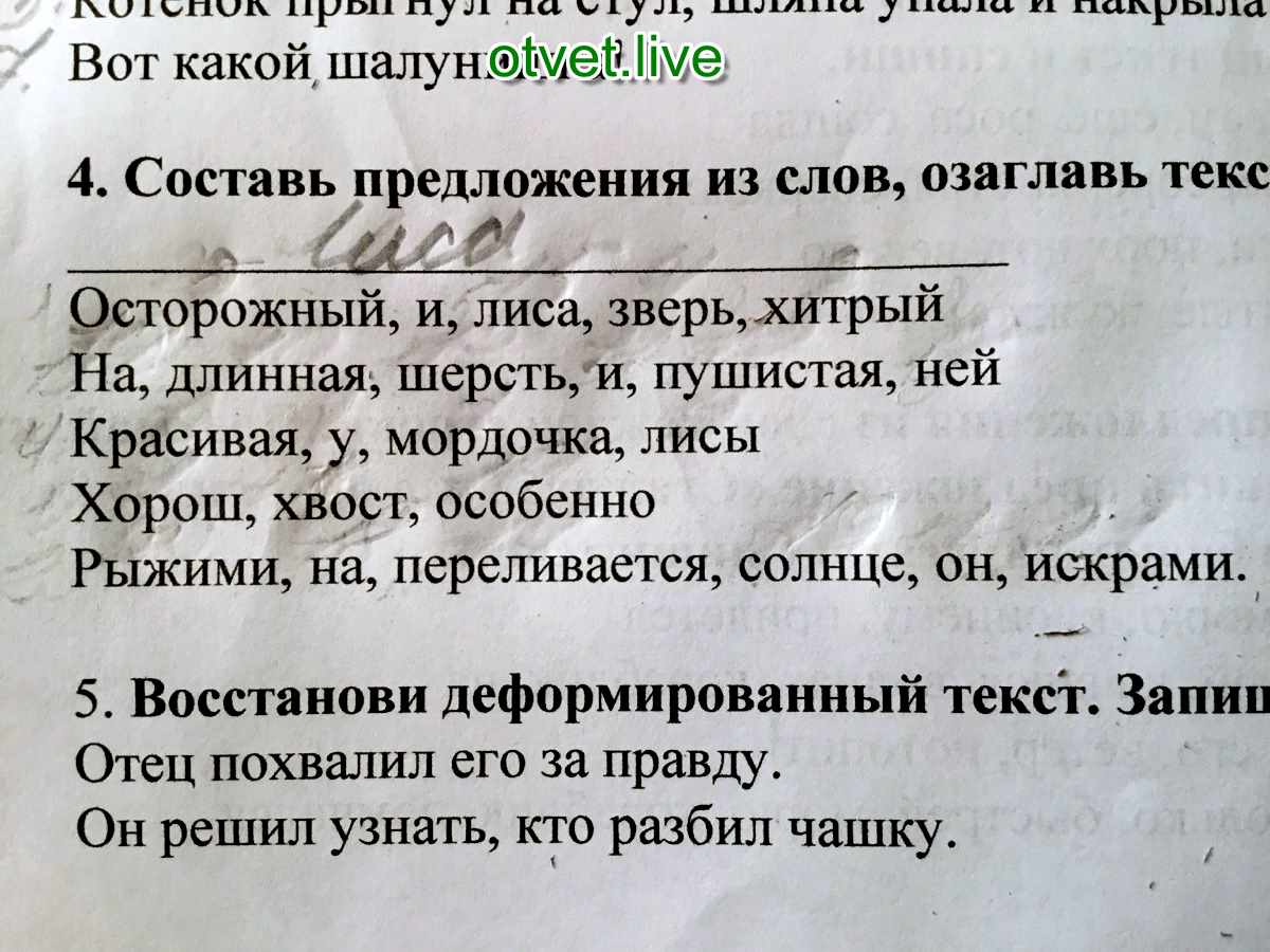 Предложения лисьи